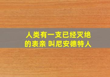 人类有一支已经灭绝的表亲 叫尼安德特人